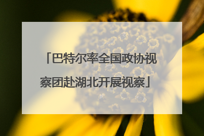 巴特尔率全国政协视察团赴湖北开展视察